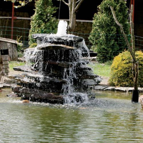 W tym królestwie ptaków wszystko zaprojektowane jest dla ich wygody - nawet fontanna.