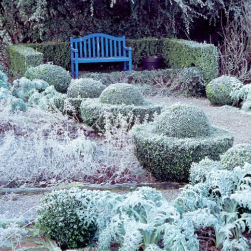 W tym zakątku ogrodu, dla odmiany od geometrycznych żywopłotów, krzewy przycięto na kształt UFO.