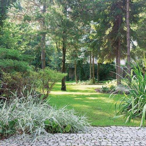 W zacienionym ogrodzie świetnie wyglądają ścieżki z jasnego granitu, naturalne kamienie porosłe mchem, bukszpany i