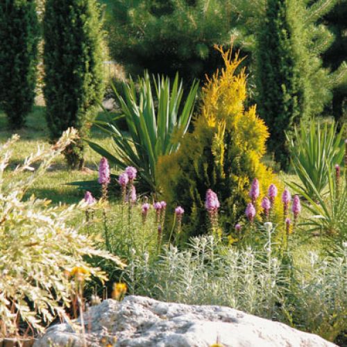 Wapienne głazy dodają malowniczości ogrodowi.