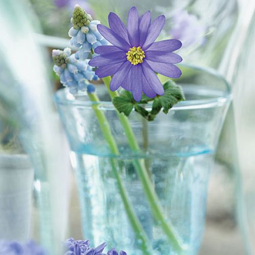 Wazony na wiosenny stole. Szklane dekoracje do domu.