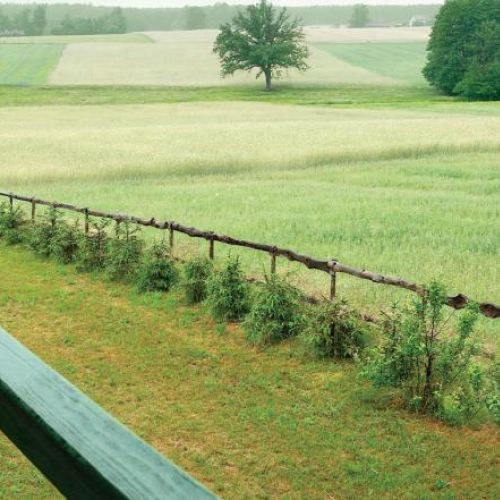 Widok na pola, łąki, drzewa i las. Urządzony z pomocą... aniołów