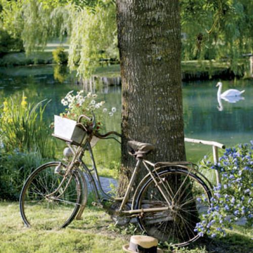 Wiosna to doskonały moment, aby wsiąść na rower. Fot. Stockfood/Free