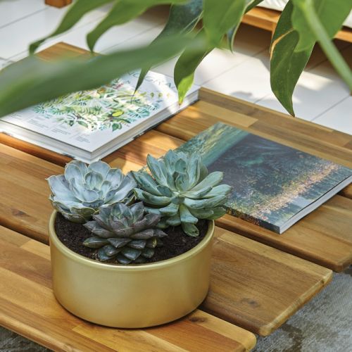 styl modern classic oranżeria