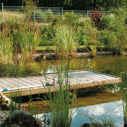 Z pomostu można kontemplować piękno ogrodu albo podglądać wodne żyjątka w krystalicznie przejrzystej wodzie.