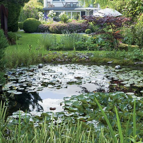 Z prowadzonego pod linijkę ogród staje się dziki, nieokiełznany.