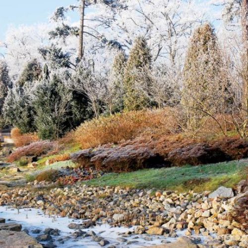 Zadziwiająca kolorystyka ogrodu japońskiego.