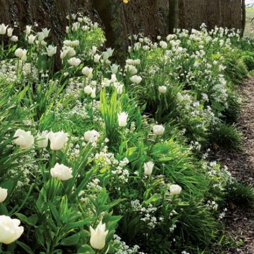 Zapraszamy kwiaty do ogrodu