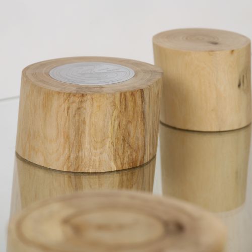 Zdjęcia: Wood Design. Drewno i szkło