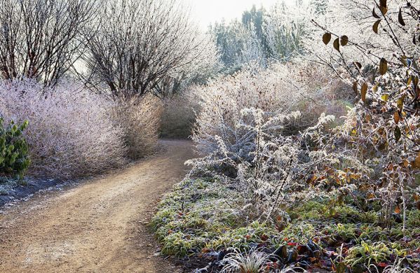 Anglesey Abbey w zimowej szacie