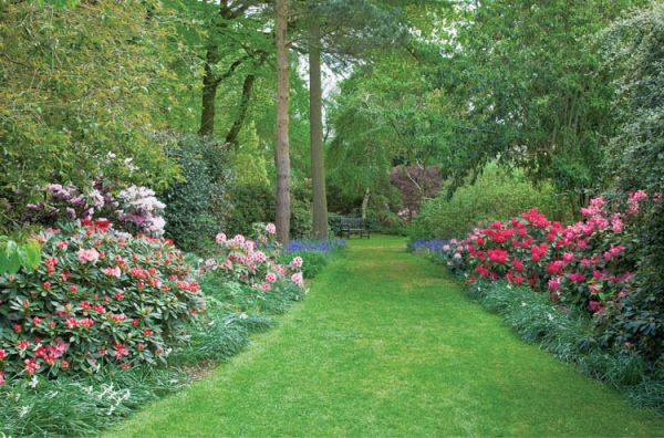 Przez ogród prowadzi ścieżka porośnięta azaliami.