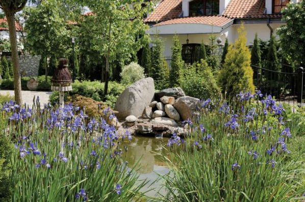 Posadził trawy i irysy, które w sąsiedztwie rzeki czują się najlepiej.