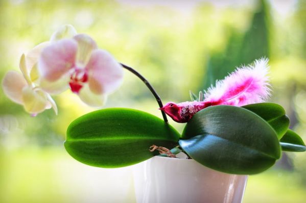 Pomysł nie jest zwyczajny, bo bombki kojarzą nam się raczej ze Świętami Bożego Narodzenia.