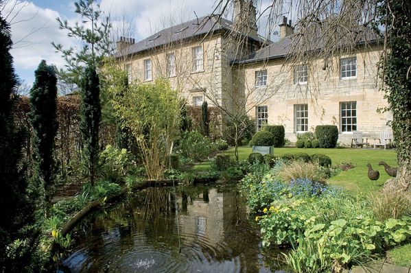 Stawik obrośnięty kaczeńcami i sitowiem.