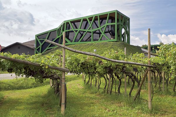 Szlakiem winnej awangardy