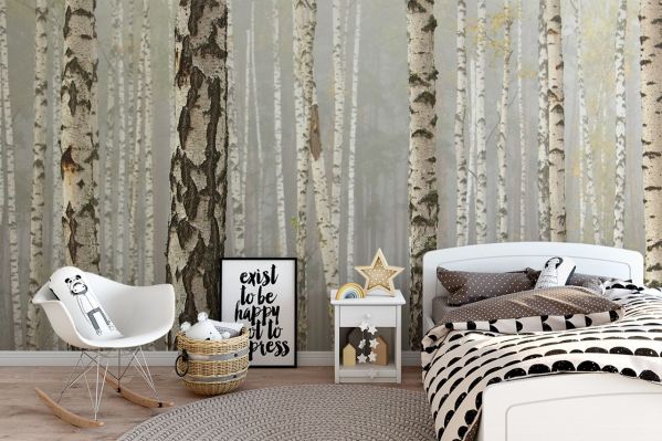 Fototapeta z brzozami, czyli nowe właściwości znanego drzewa