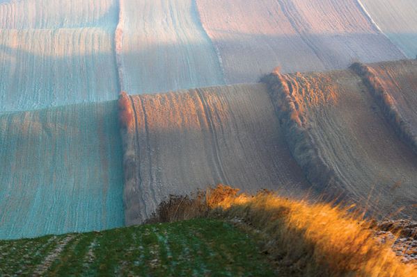 Zdjęcia Marcina Sochy