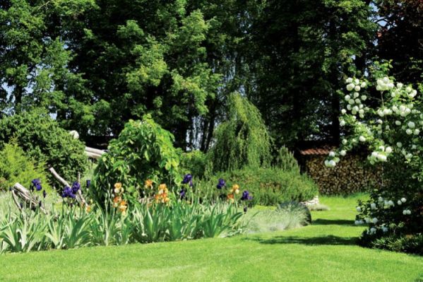 Ogród otoczony jest sosnowym lasem. Podchodzą tu dziki, sarny, zające, bo wiedzą, że zawsze mogą liczyć na jakiś kąsek.