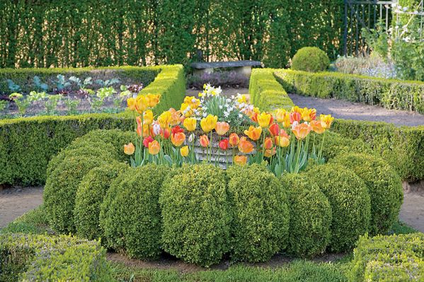Ścieżki i rabaty obsadzone niskimi żywopłotami i bukszpanowymi kulami albo stożkami.