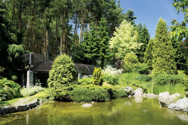 Ten ogród przyciaga jak magnes. Spotkamy tu żaby, leszcze, płocie, liny, jazie i klenie.