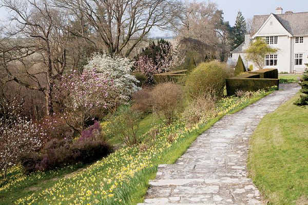 Ogród w Sherwood. Magnoliami wiosna się zaczyna