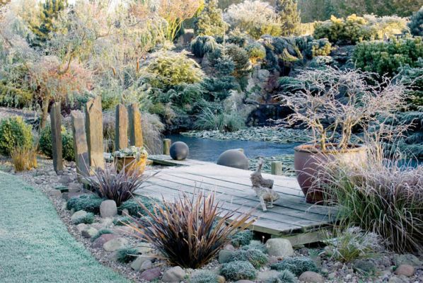 Pomost nad stawem. Ciemierniki oprószone szronem