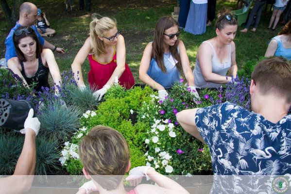 Projekt ZIELONE MIASTO: warsztaty MÓJ ZIELONY DACH.