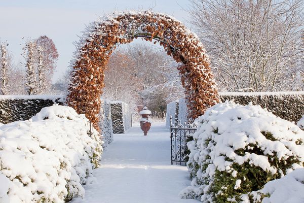 Właściciele mają słabość do pnączy. Z myślą o nich postawili tyle altan i pergoli.
