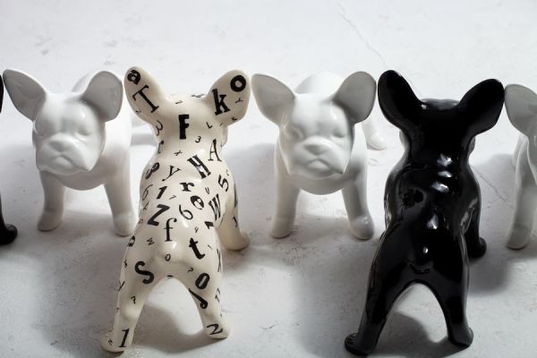 Z miłości do buldożka francuskiego