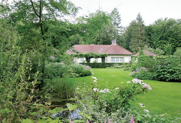 Choć ogród znajduje się w lesie, jest słoneczny i przestronny.