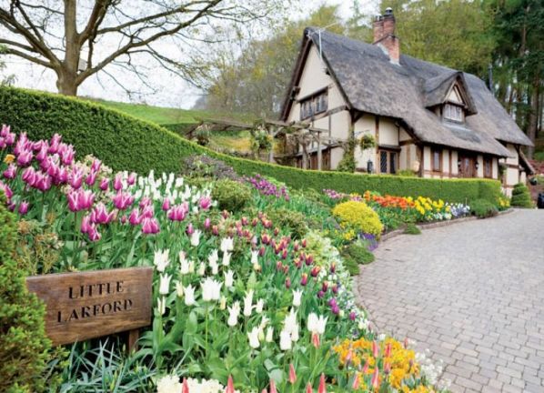 Wiosenne kwiaty w ogrodzie