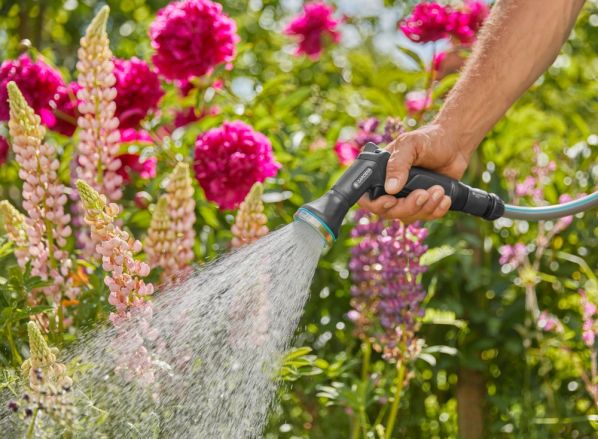 jak podlewać ogród