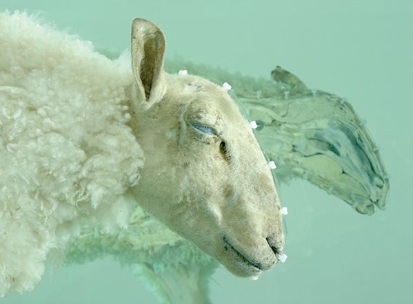 Napięcie premilenijne