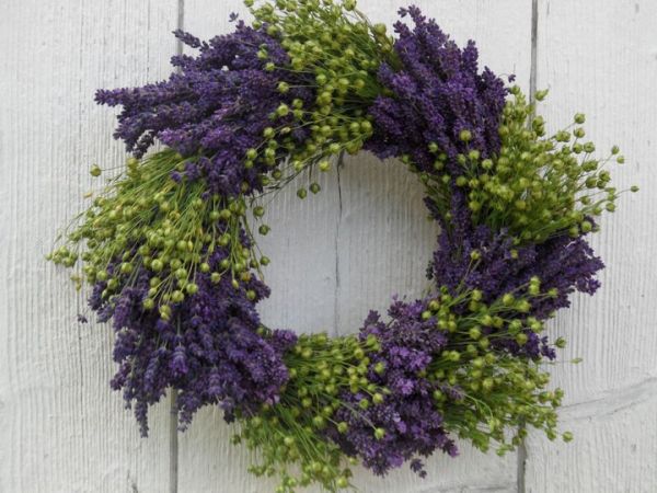 Może być piękną ozdobą drzwi czy stołu. Izabela Niżyńska i Piotr Niżyński , www.lawendowapasieka.pl