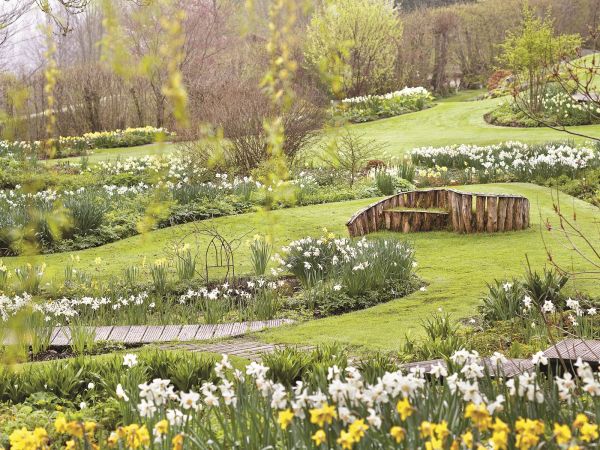 Milion i jeden narcyzów