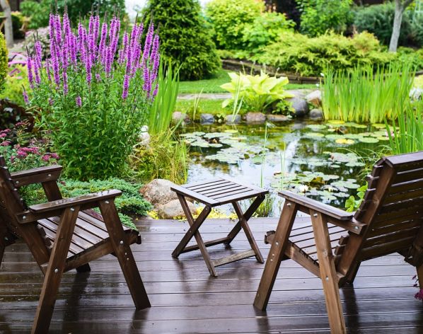 rośliny do oczek wodnych