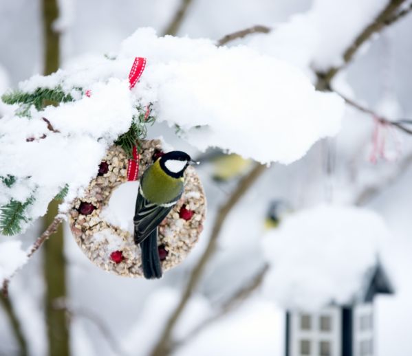 prezent dla ogrodnika