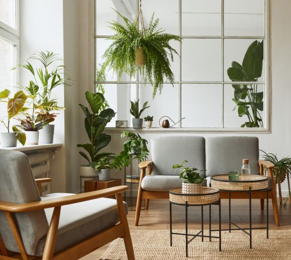 biophilic design zaproś naturę do wnętrza swojego domu