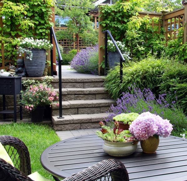 jak pozbyć się kleszczy w ogrodzie