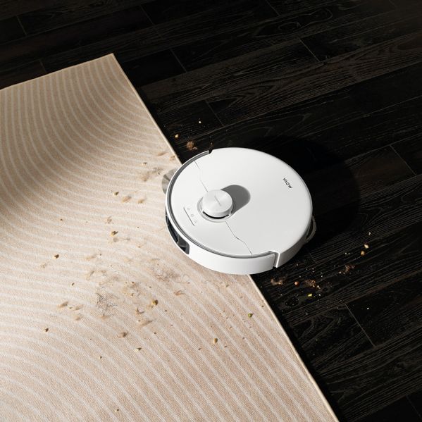 jak utrzymać porządek w domu w którym są zwierzęta