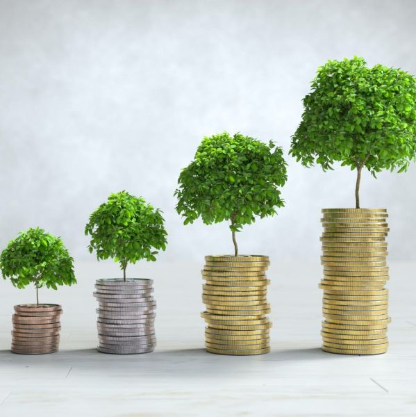 moje ciepło mój prąd czy czyste powietrze  porównanie programów