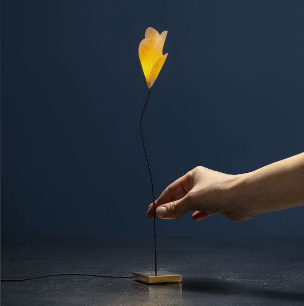 Lampy catellani smith