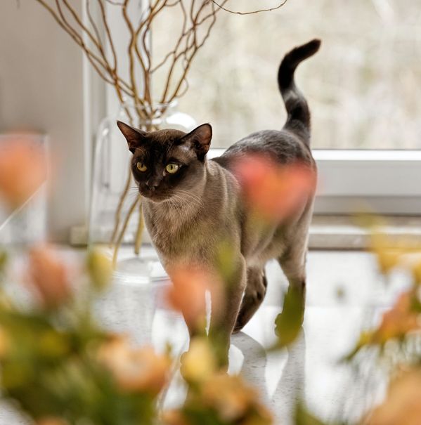 mieszkanie w beżach i szarościach