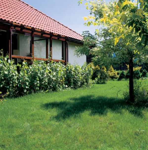 Przez przeszkloną ścianę widać szpaler czerwonych porzeczek, nad nim rozpościera się wspaniały widok na ogród.