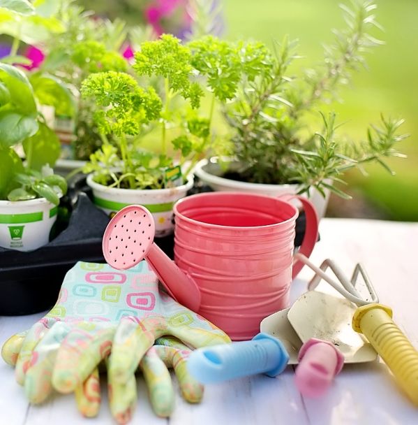 jakie akcesoria do ogrodu wybrać