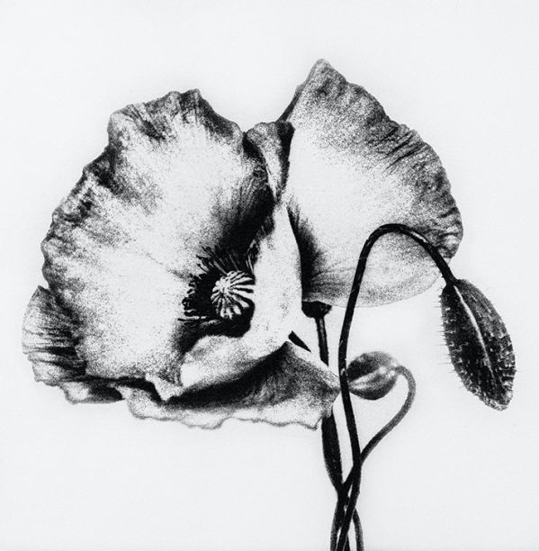 Fotografie jak malowane od Andrzeja Wiktora