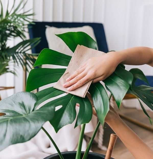 jaka będzie przyszłość sprzątania