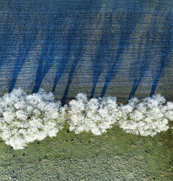 Z serii Zima . Zdjęcie: Kacper Kowalski