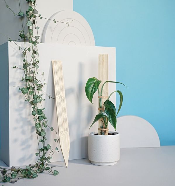 tyczki i podpórki do kwiatów doniczkowych polskiej marki busz.busz