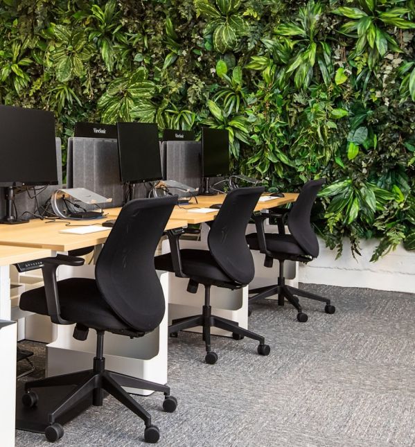 urządzamy nowoczesne biuro dla programistów